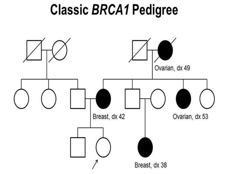 BRCA1