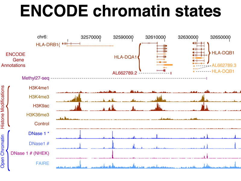 genomics