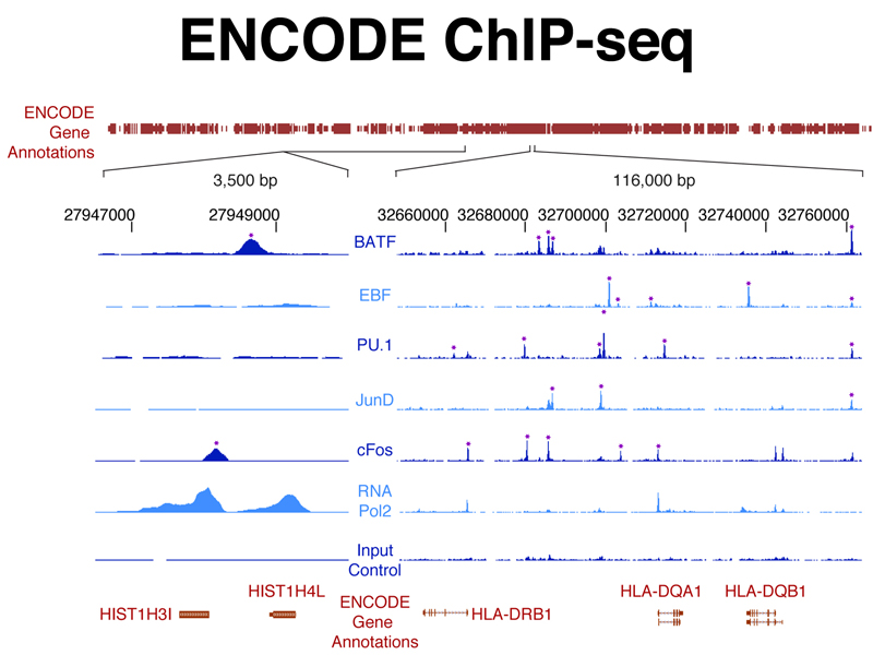 genomics