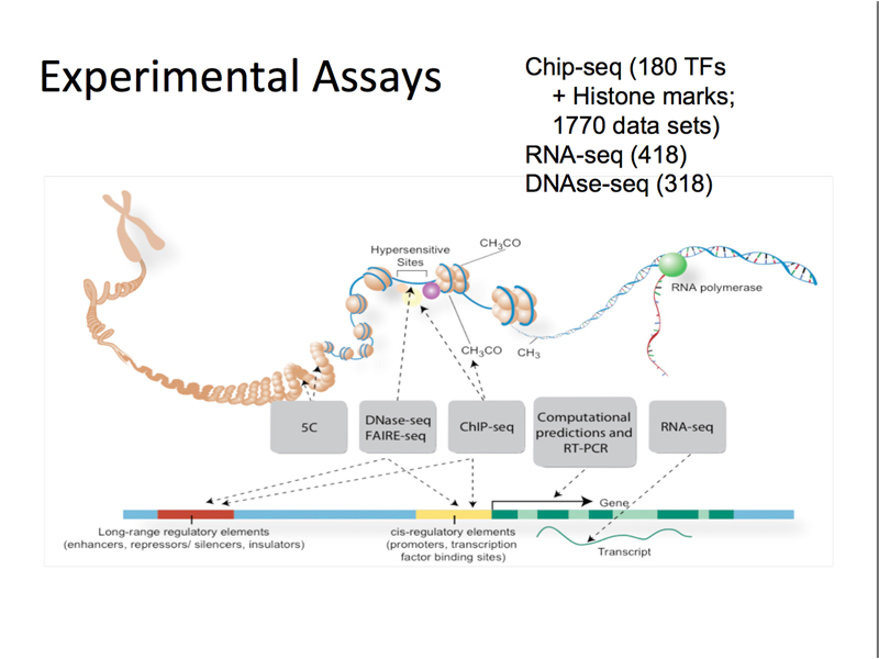 genomics