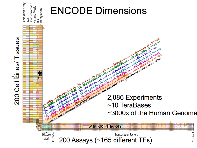 genomics