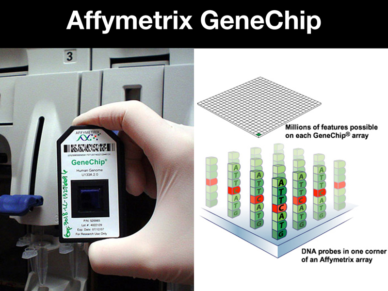 recombinant DNA