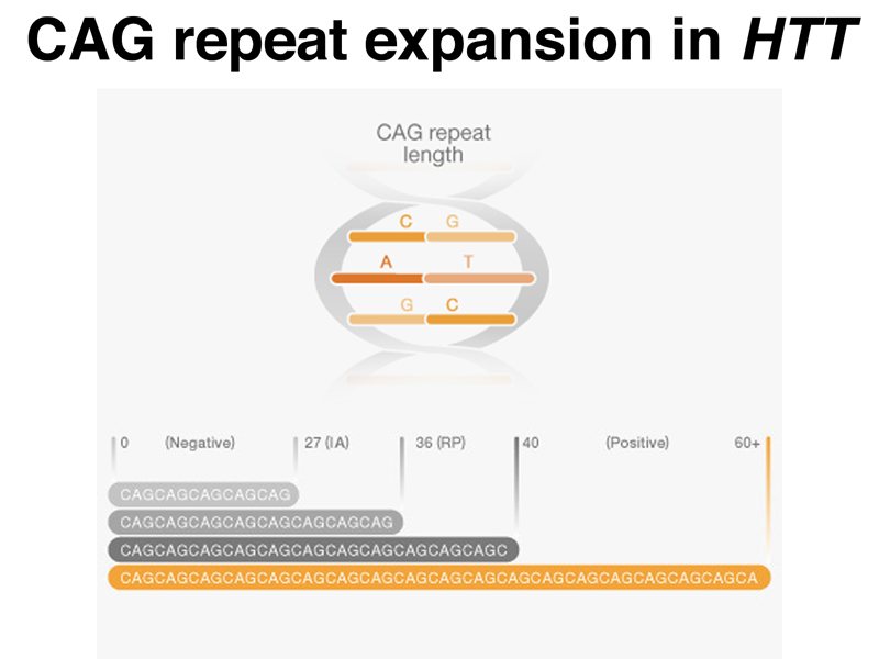 recombinant DNA