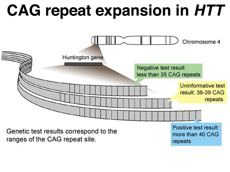 recombinant DNA