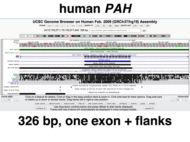 genome structure