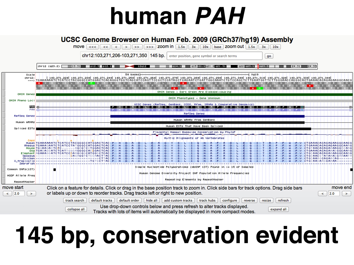 genome structure