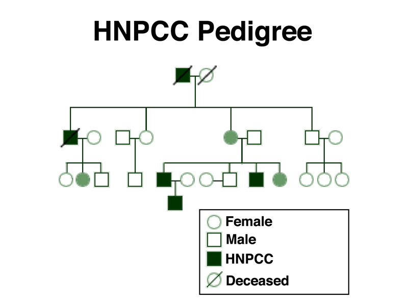 HNPCC