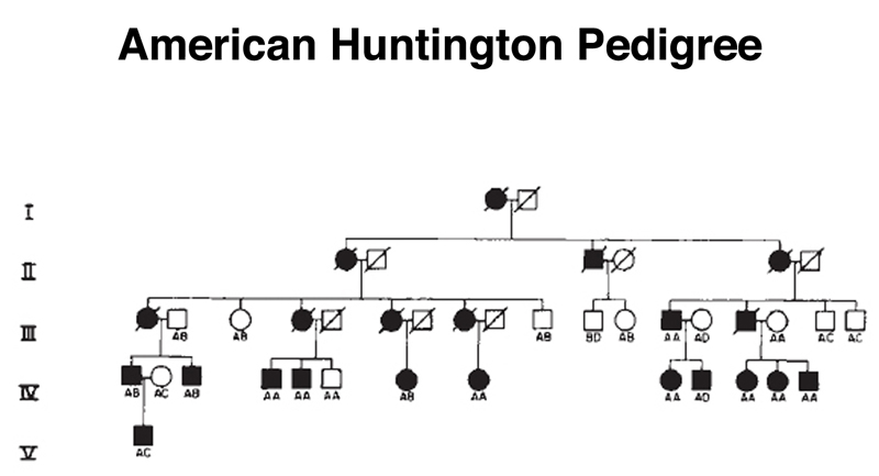 recombinant DNA