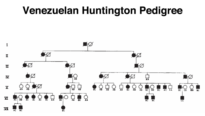 recombinant DNA