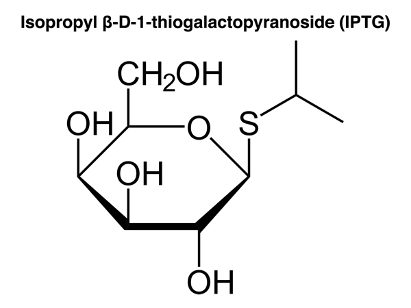 IPTG