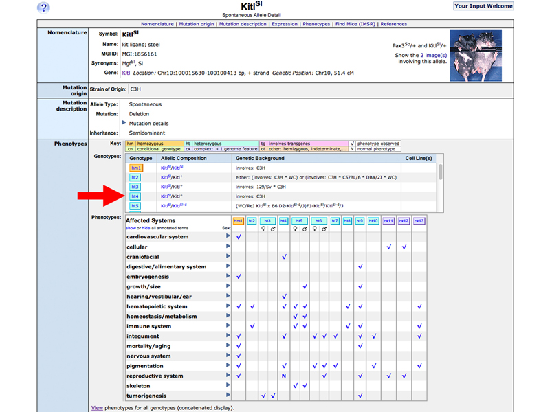 GWAS