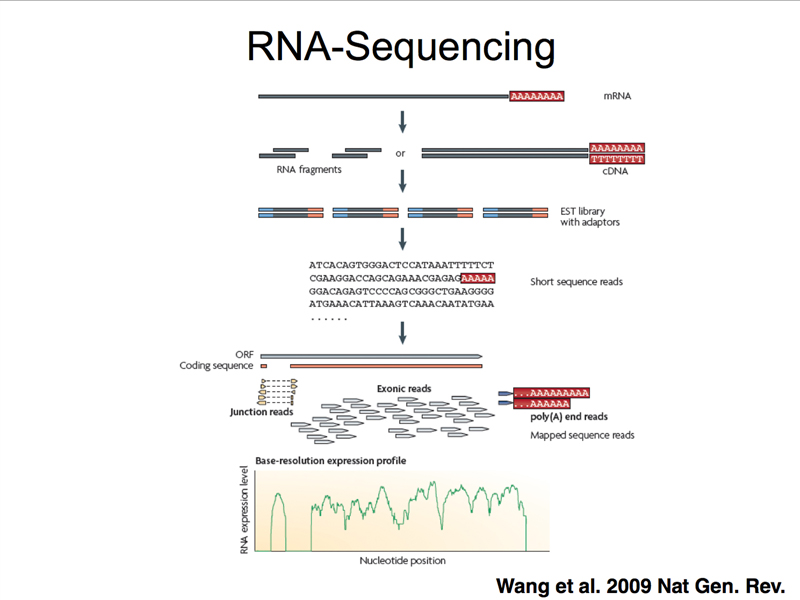 genomics