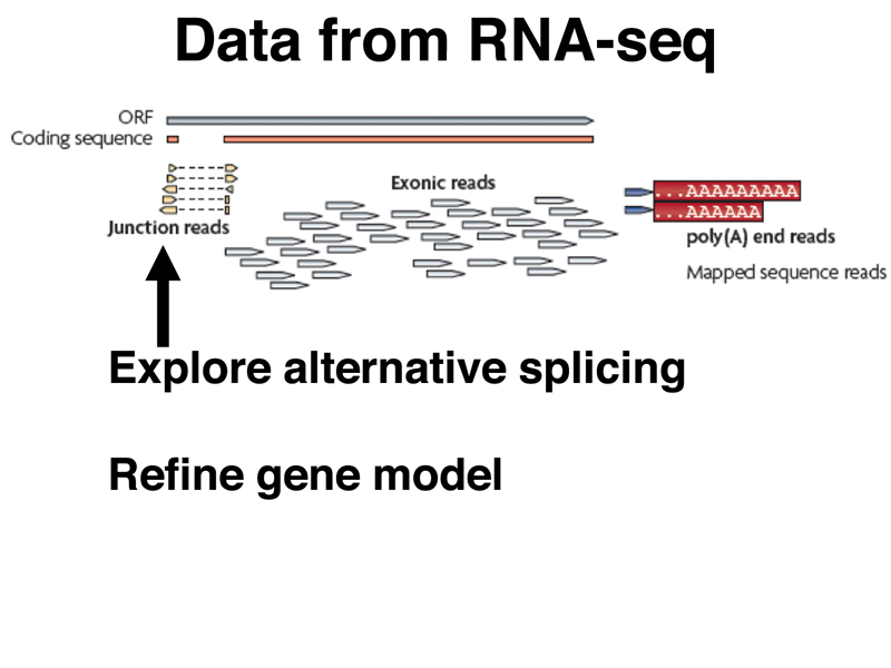 genomics