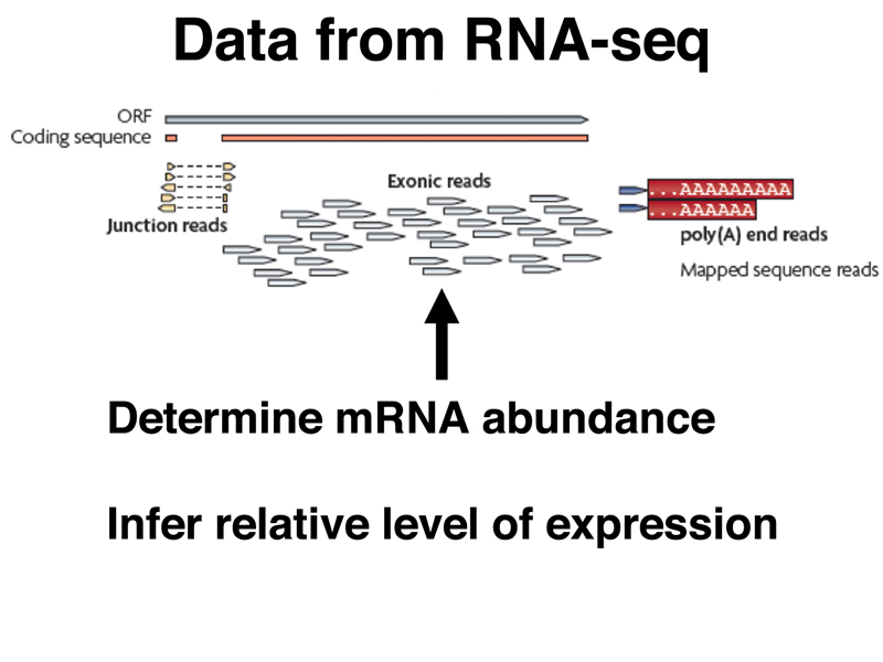 genomics