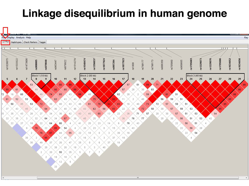 GWAS