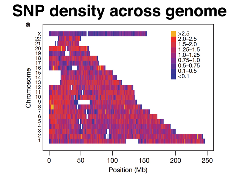 GWAS