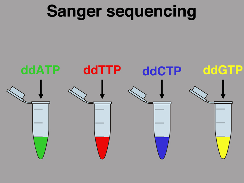 cloning