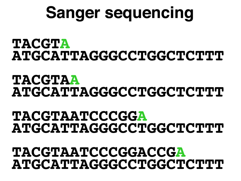 cloning