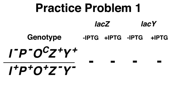 practice problem