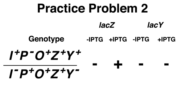 practice problem