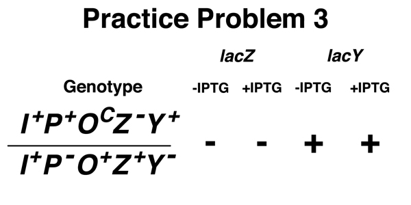 practice problem