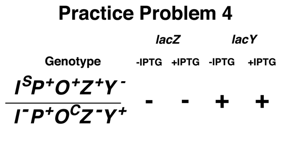 practice problem