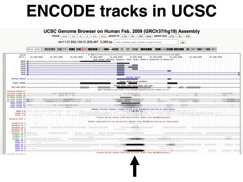 genomics