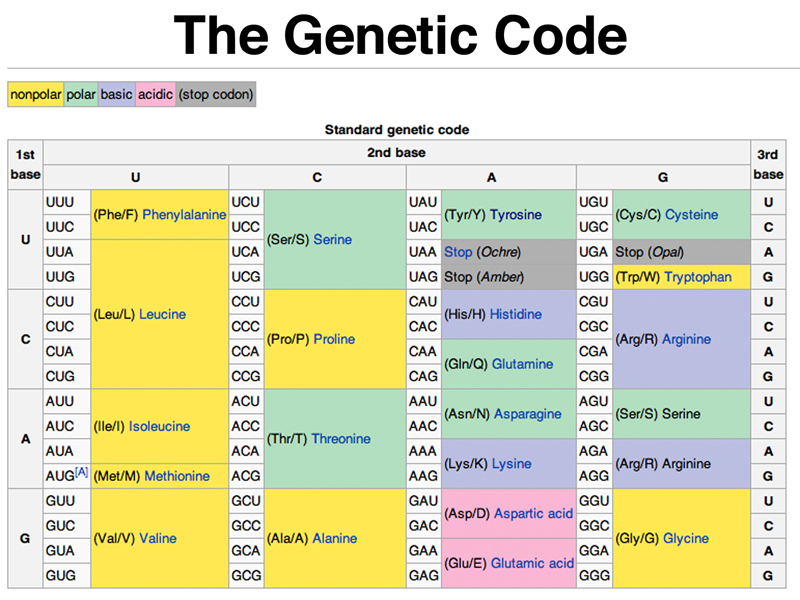 genetic code