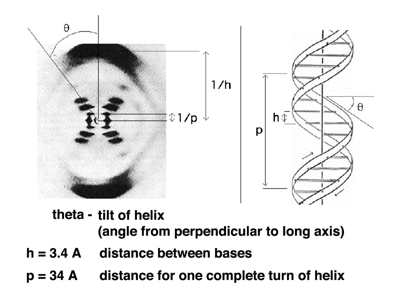 X ray diffraction