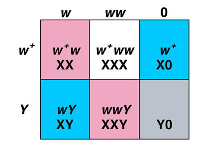 Punnett square