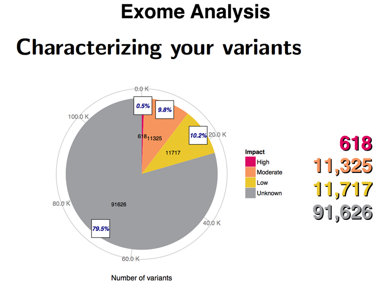 exome sequence