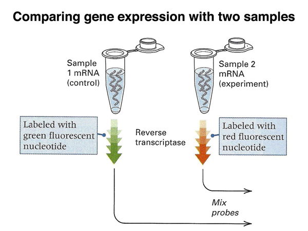 genomics