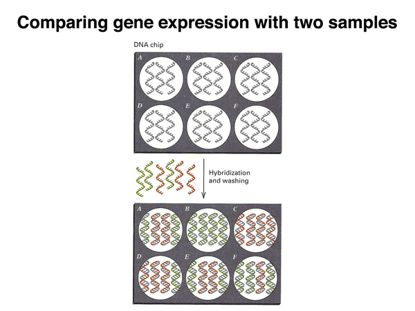 genomics