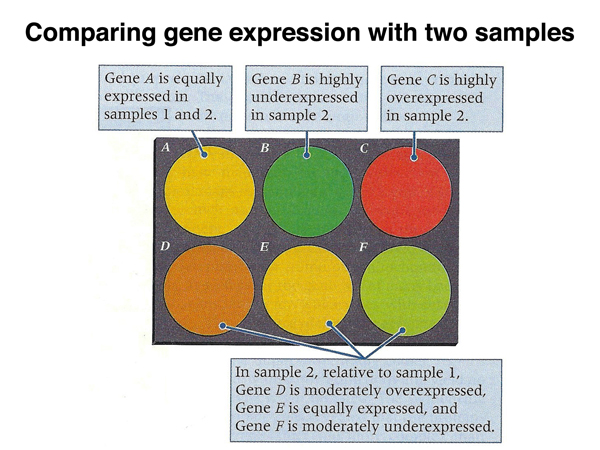 genomics