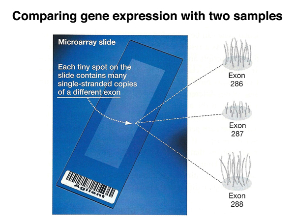 genomics