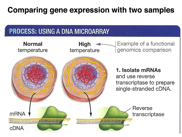 genomics