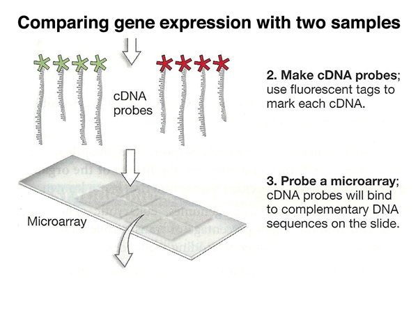 genomics