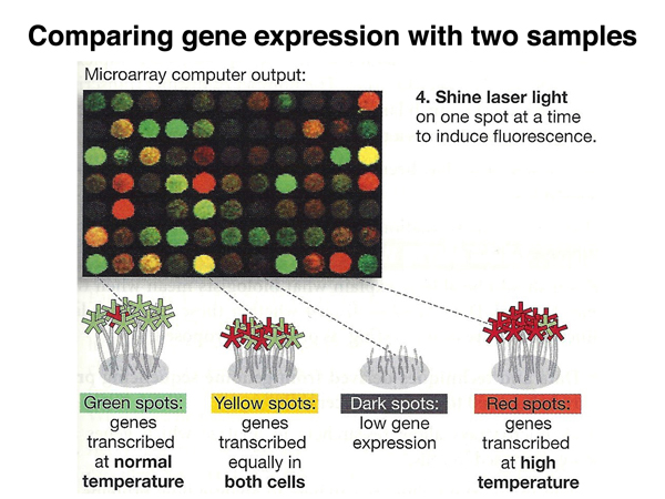 genomics