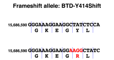 biotinidase