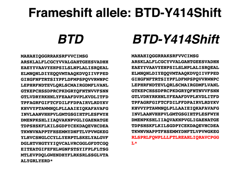 biotinidase