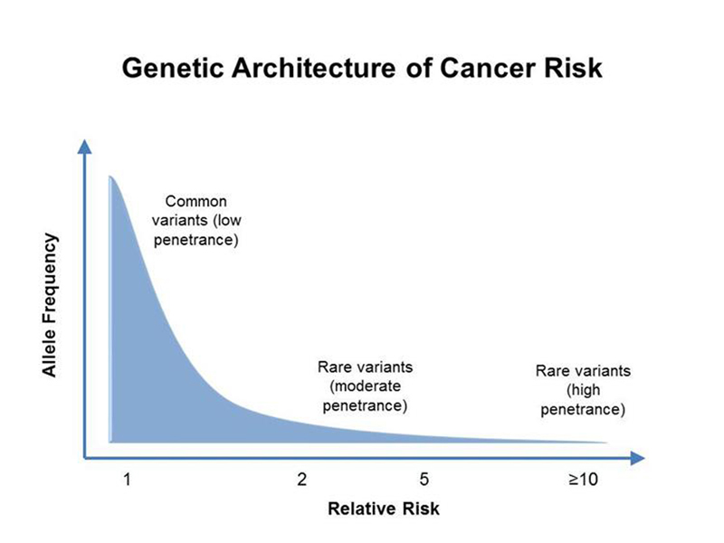 genetic architecture