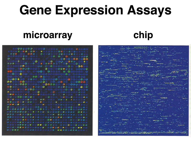 genomics