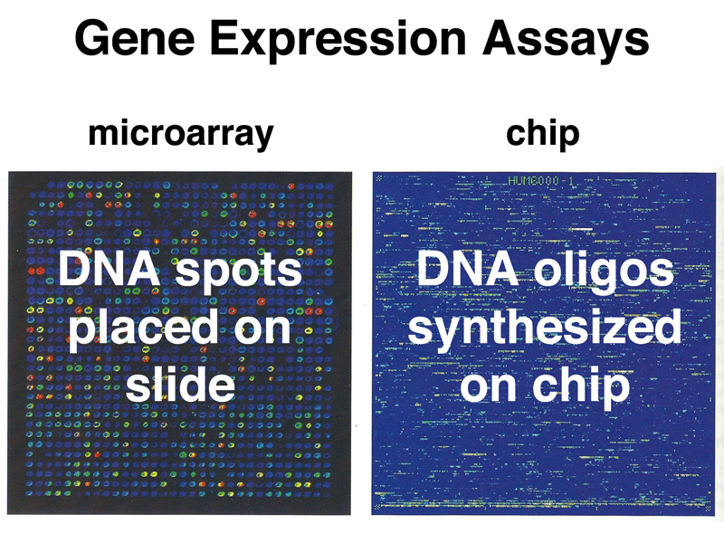 genomics