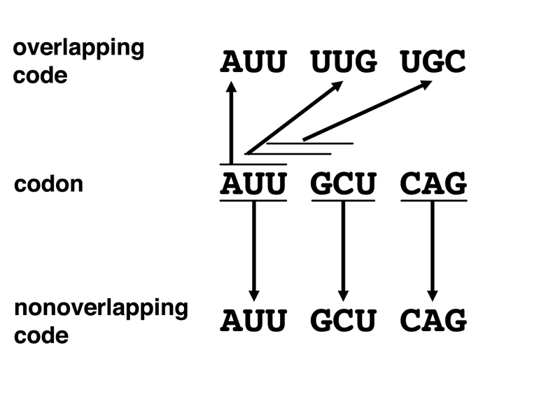 overlapping code