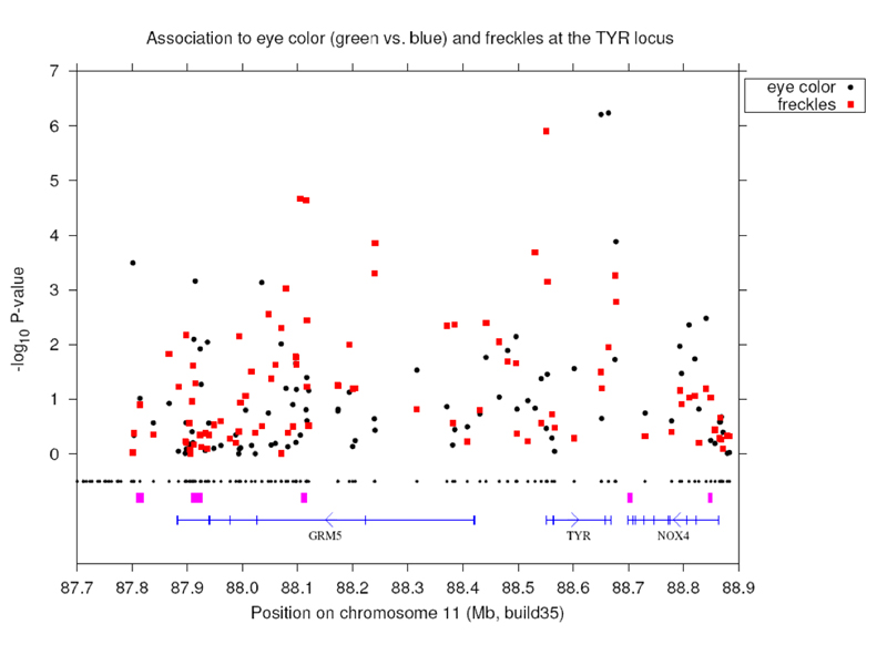 GWAS