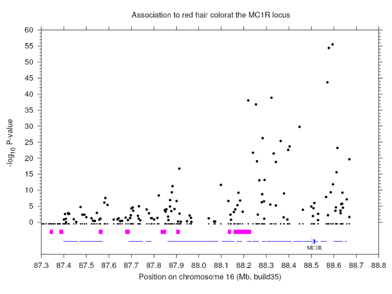 GWAS