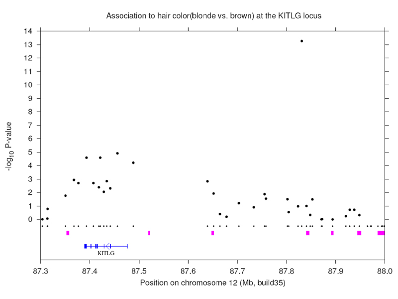 GWAS