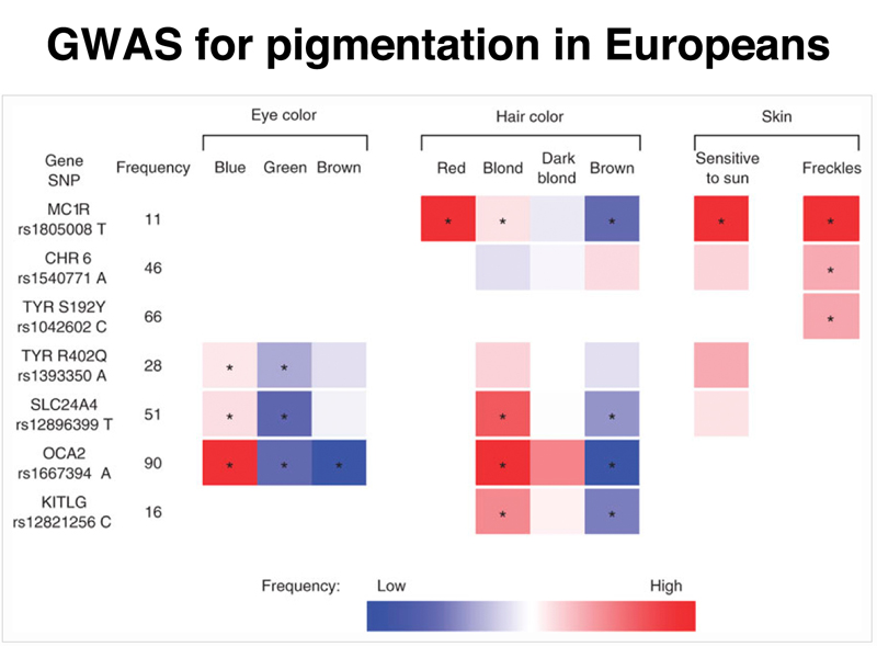 GWAS