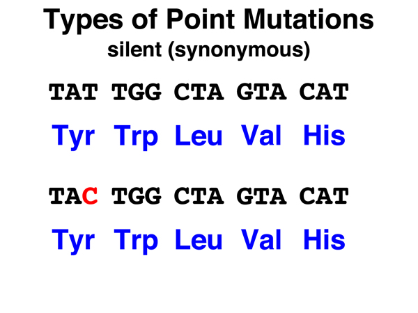 point mutations