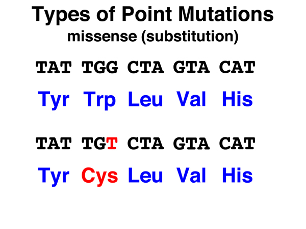 point mutations